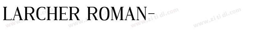 LARCHER ROMAN字体转换